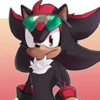 Shadow The Hedgehog