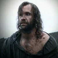 Sandor - The Hound