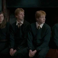 Twins Weasley