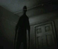 An annoying creature