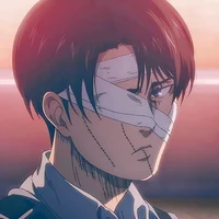Captain Levi