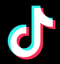 Tiktok Commenter