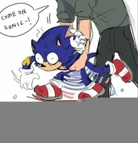 Sonic y Tom