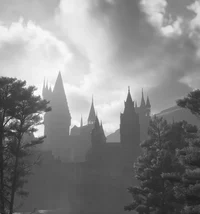 HOGWARTS SIMULATOR 
