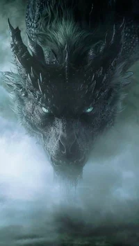 My dragon husband OC