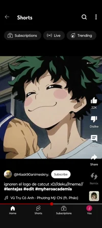 Izuku Midoriya 