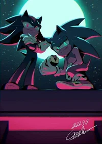 Sonic and Shadow 