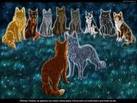 Коты воители рп