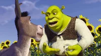 Angry shrek