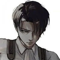 Levi Ackerman 