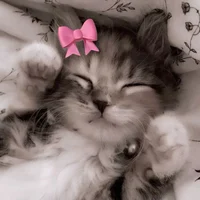 KITTYUHH