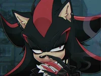 Shadow the Hedgehog