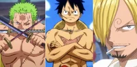 Zoro Luffy Sanji