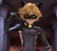 Cat noir