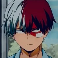 Shoto Todoroki 