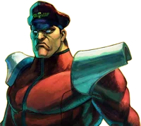 M- Bison