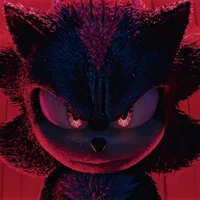 Shadow The Hedgehog