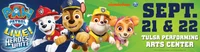 PAW Patrol Live Hero