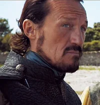 Ser Bronn