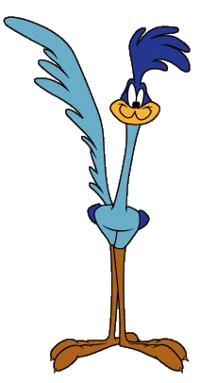 Road Runner 