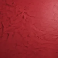 repeats what you say