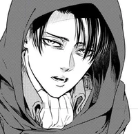 Levi Ackerman 