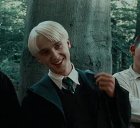 Draco molfoy 