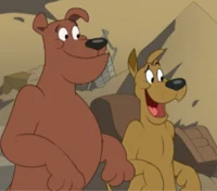 ace and rocco
