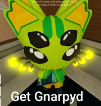 Gnarpy 