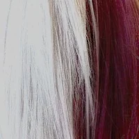 MHA - Shoto Todoroki