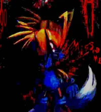Z A     L G O 