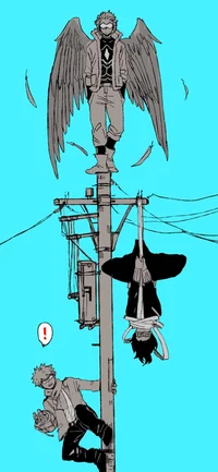 Eraserhead and hawks