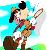 Bug catching dog