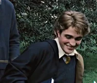Cedric Diggory 
