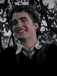 Cedric Diggory 