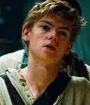 Newt