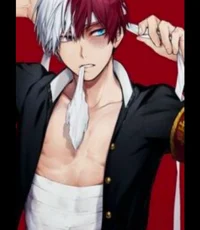 Shoto todoroki 