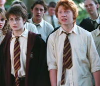 Ron and Harry