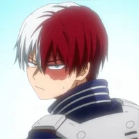 Shoto todoroki 