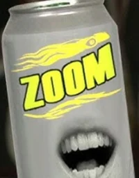 Zoom