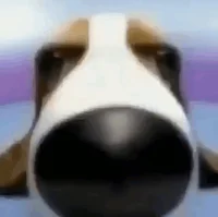 A totally normal dog