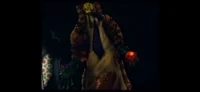 The Pumpkin Rabbit