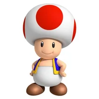 Toad