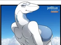 JetBlue