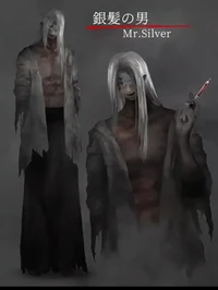 Mr Silver