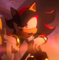 Shadow The Hedgehog