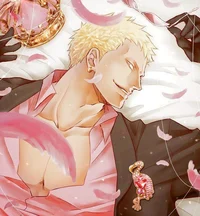 Doflamingo