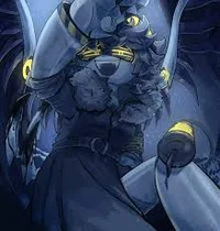 Serial Designation N