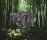 - Himalayan Dragon -