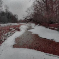 Nieve con sangre 